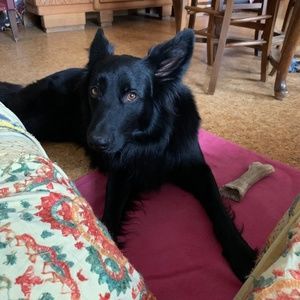 Meet your Posher, Liz